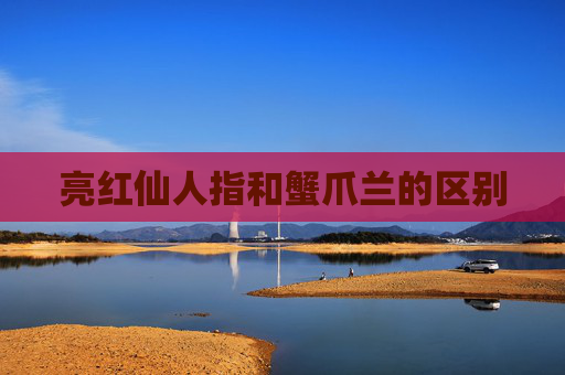 亮红仙人指和蟹爪兰的区别
