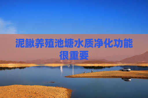 泥鳅养殖池塘水质净化功能很重要