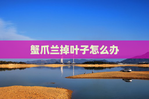 蟹爪兰掉叶子怎么办