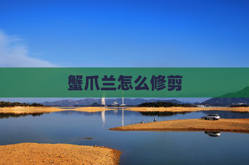 蟹爪兰怎么修剪
