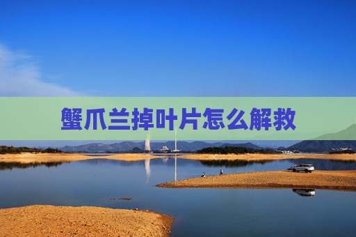 蟹爪兰掉叶片怎么解救
