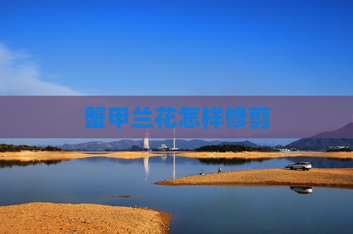 蟹甲兰花怎样修剪