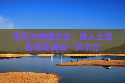 蟹爪兰插枝方法，插入土壤后浇足浇透一次水分