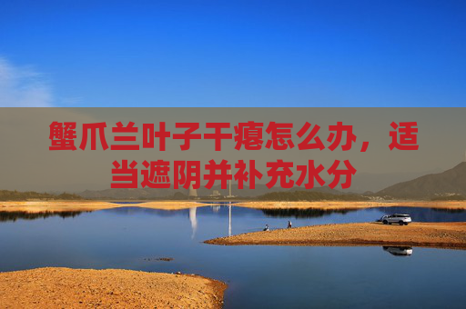 蟹爪兰叶子干瘪怎么办，适当遮阴并补充水分