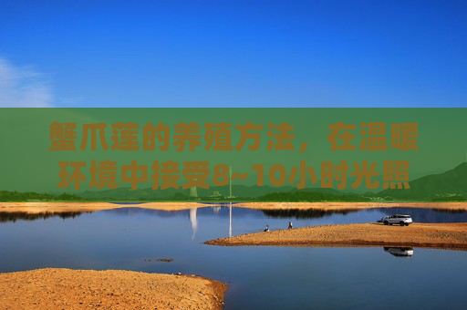 蟹爪莲的养殖方法，在温暖环境中接受8~10小时光照