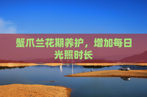 蟹爪兰花期养护，增加每日光照时长