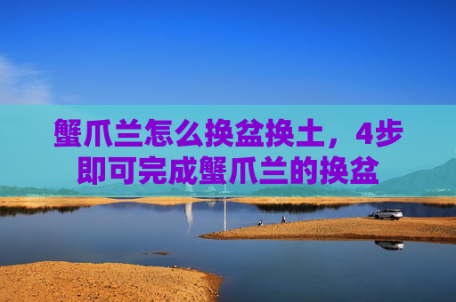 蟹爪兰怎么换盆换土，4步即可完成蟹爪兰的换盆