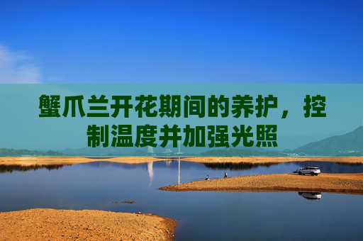 蟹爪兰开花期间的养护，控制温度并加强光照
