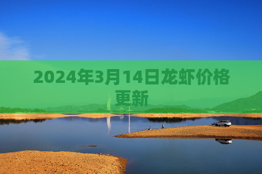 2024年3月14日龙虾价格更新