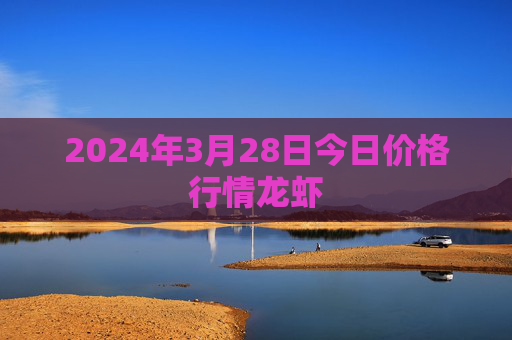 2024年3月28日今日价格行情龙虾