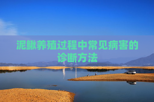 泥鳅养殖过程中常见病害的诊断方法