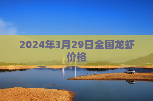 2024年3月29日全国龙虾价格