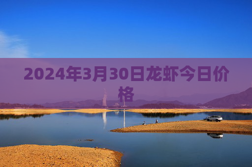 2024年3月30日龙虾今日价格