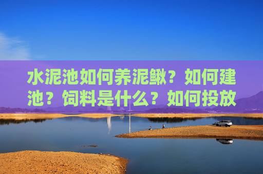 水泥池如何养泥鳅？如何建池？饲料是什么？如何投放？