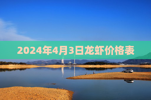 2024年4月3日龙虾价格表