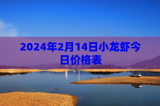 2024年2月14日小龙虾今日价格表