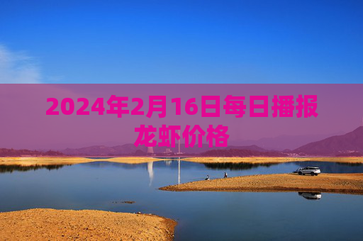 2024年2月16日每日播报龙虾价格