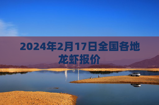 2024年2月17日全国各地龙虾报价