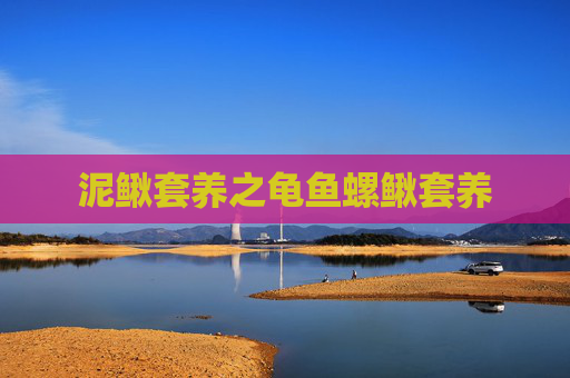 泥鳅套养之龟鱼螺鳅套养
