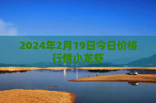 2024年2月19日今日价格行情小龙虾