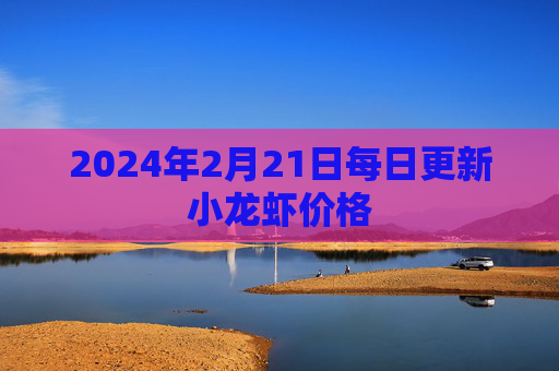 2024年2月21日每日更新小龙虾价格