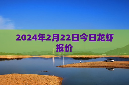 2024年2月22日今日龙虾报价