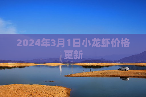 2024年3月1日小龙虾价格更新