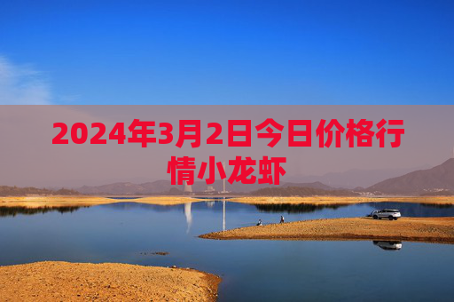 2024年3月2日今日价格行情小龙虾