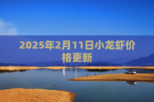 2025年2月11日小龙虾价格更新