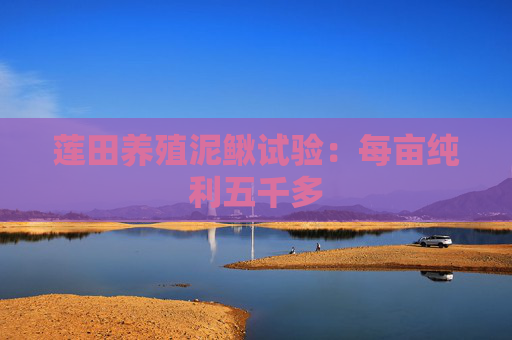 莲田养殖泥鳅试验：每亩纯利五千多