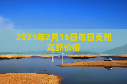 2025年2月16日每日更新龙虾价格