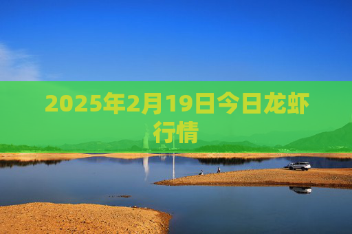 2025年2月19日今日龙虾行情