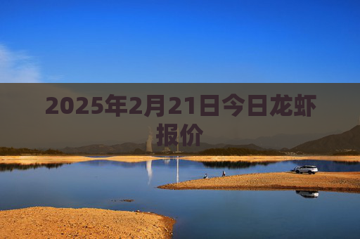 2025年2月21日今日龙虾报价
