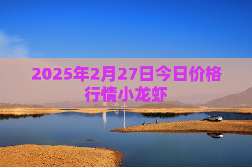 2025年2月27日今日价格行情小龙虾