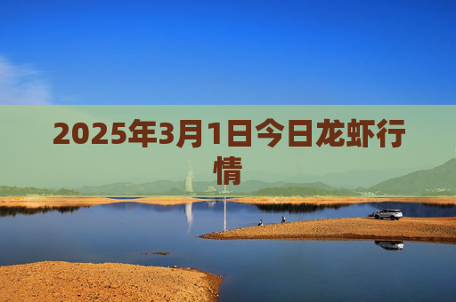 2025年3月1日今日龙虾行情