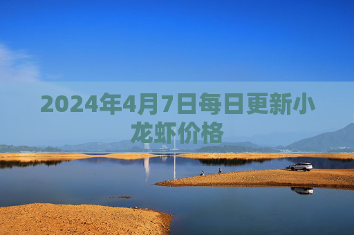 2024年4月7日每日更新小龙虾价格