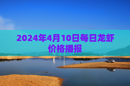 2024年4月10日每日龙虾价格播报