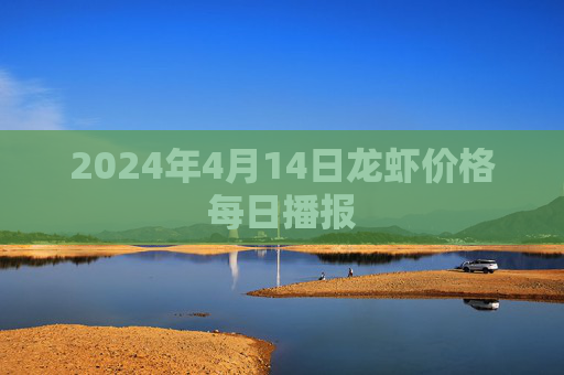 2024年4月14日龙虾价格每日播报