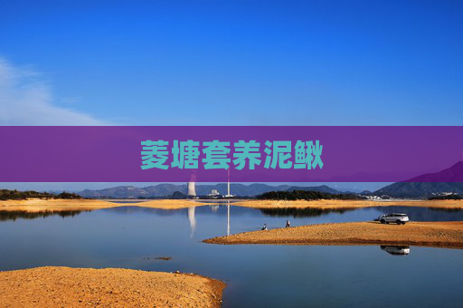 菱塘套养泥鳅
