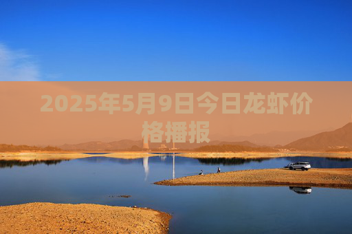 2025年5月9日今日龙虾价格播报