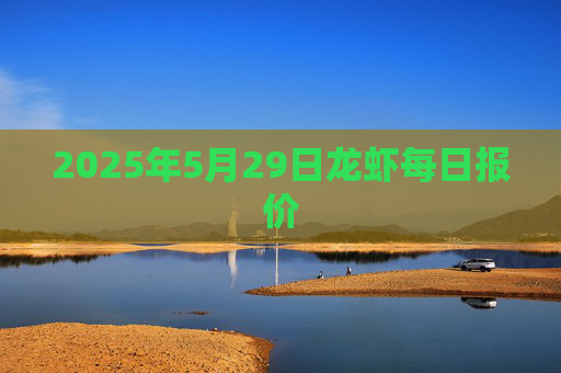 2025年5月29日龙虾每日报价