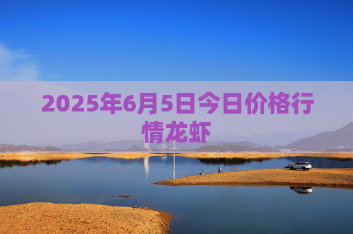 2025年6月5日今日价格行情龙虾