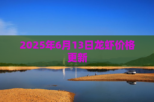 2025年6月13日龙虾价格更新