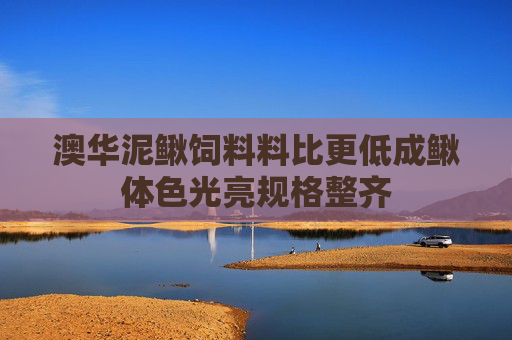澳华泥鳅饲料料比更低成鳅体色光亮规格整齐