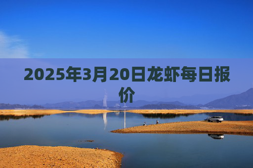 2025年3月20日龙虾每日报价