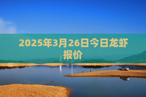 2025年3月26日今日龙虾报价