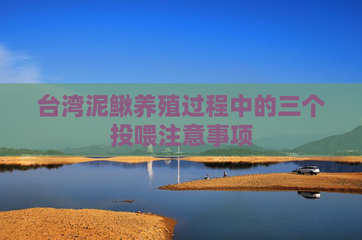 台湾泥鳅养殖过程中的三个投喂注意事项