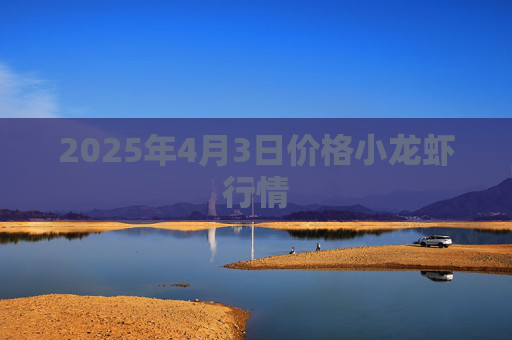 2025年4月3日价格小龙虾行情