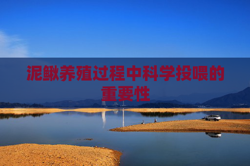 泥鳅养殖过程中科学投喂的重要性