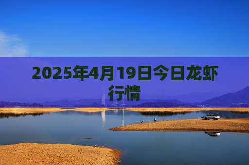 2025年4月19日今日龙虾行情